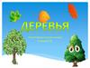 Лиственные и хвойные породы деревьев