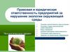 Правовая и юридическая ответственность предприятий за нарушение экологии окружающей среды