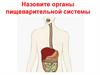 Органы пищеварительной системы