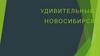 Удивительный Новосибирск