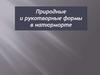 Природные и рукотворные формы в натюрморте