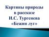 Картины природы в рассказе И.С. Тургенева «Бежин луг»