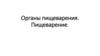Органы пищеварения. Пищеварение