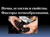 Почва, ее состав и свойства. Факторы почвообразования