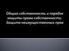 Общая собственность и порядок защиты права собственности. Защита неимущественных прав