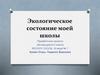Экологическое состояние моей школы