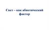 Свет – как абиотический фактор