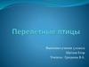Перелетные птицы