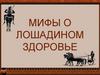 Мифы и легенды о лошадином здоровье