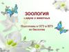 Зоология – наука о животных подготовка к ОГЭ и ЕГЭ по биологии