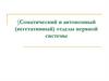 Соматический и автономный (вегетативный) отделы нервной системы