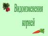 Видоизменения корней