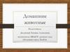 Домашние животные