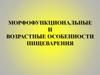 Морфофункциональные и возрастные особенности пищеварения
