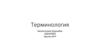 Терминология