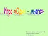 Игра "Один - много"