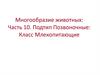 Многообразие животных. Часть 10. Подтип Позвоночные. Класс Млекопитающие