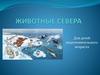 Животные севера. Подготовительная группа