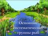 Основные систематические группы рыб