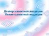 Вектор магнитной индукции. Линии магнитной индукции