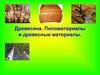 Древесина. Пиломатериалы и древесные материалы