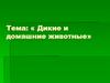 Дикие и домашние животные»