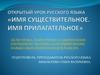 Имя существительное. Имя прилагательное
