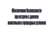 Обеспечение безопасности при встрече с дикими животными в природных условиях