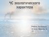 Чрезвычайные ситуации экологического характера