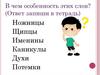 Имена существительные, которые имеют форму только множественного числа