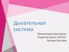 Дыхательная система