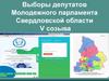 Выборы депутатов Молодежного парламента Свердловской области V созыва