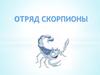 Отряд скорпионы