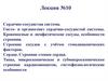 Сердечно-сосудистая система человека. Кровеносные и лимфатические сосуды, особенности строения. Сердце. Строение стенки сердца
