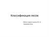 Классификация лесов