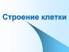 Строение клетки