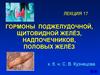 Гормоны поджелудочной, щитовидной желёз, надпочечников, половых желёз. Лекция 17