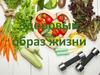 Здоровый образ жизни (ЗОЖ). Правила ЗОЖ