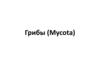 Грибы (Mycota)