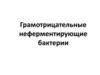 Грамотрицательные неферментирующие бактерии