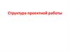 Структура проектной работы