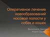 Оперативное лечение новообразований носовой полости у собак и кошек