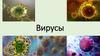 Вирусы. История открытия
