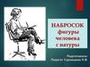 Наброски фигуры. Пропорции фигуры человека