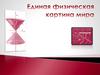 Основные элементы физической картины мира.Физические законы
