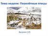 Перелётные птицы