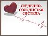 Сердечнососудистая система