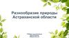 Разнообразие природы Астраханской области