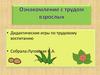 Ознакомление с трудом взрослых. Дидактические игры по трудовому воспитанию