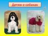 Детям о собаках